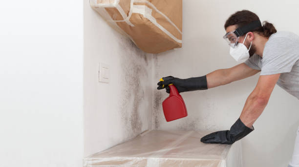 Professional Attic Mold Remediation technician working in Topinabee, MI