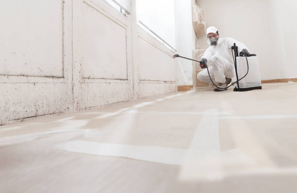 24/7 Emergency Attic Mold Remediation experts in Topinabee, MI
